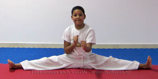taekwondo kwon spaga