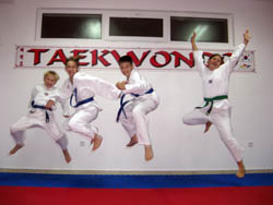 tkd kwon